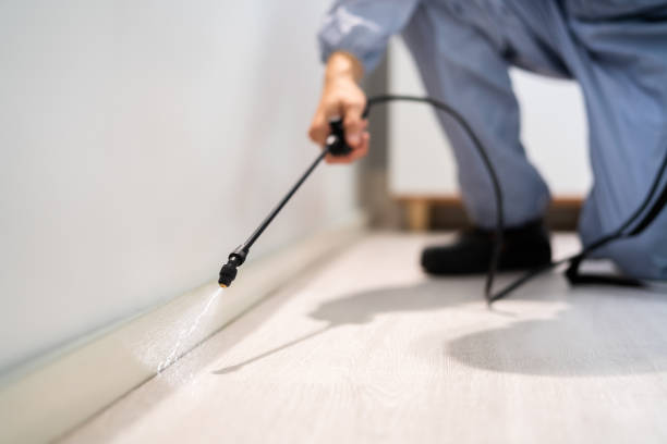 Licensed Pest Control service in Continental, OH - Show Me Pest Control